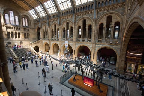 UK national museums to remain free for overseas visitors