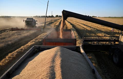 Global food prices approach 4-year high in September, UN says