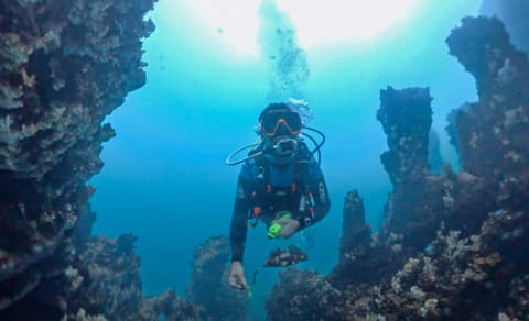 Scientists study Türkiye’s Lake Van samples to learn more about Mars