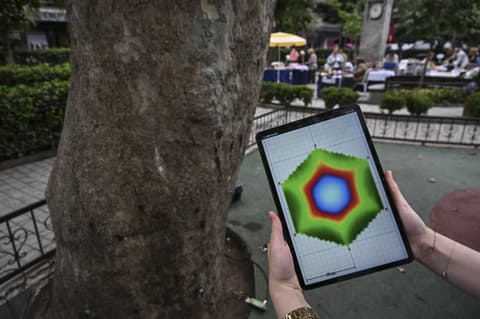 Istanbul checks century-old trees for hidden decay, risks