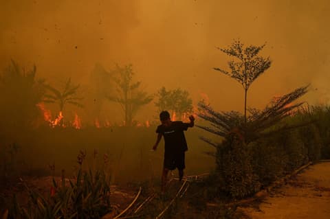 Indonesia’s raging wildfires endanger orangutans, scorch forests