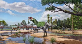 T. rex had big bite, but newly identified dinosaur had claws