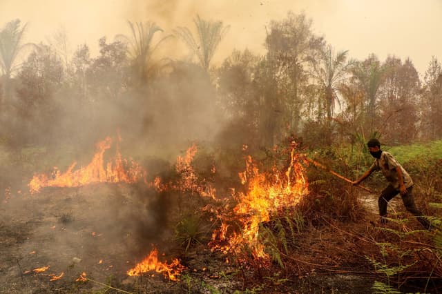 Indonesia wildfires choke Singapore, force East Timor schools shut
