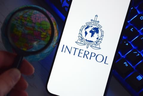 Türkiye nabs Interpol-wanted crypto fugitive in Istanbul operation