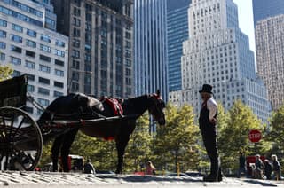 NYC moves to ban Central Park horse carriages after 150 years