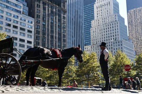 NYC moves to ban Central Park horse carriages after 150 years