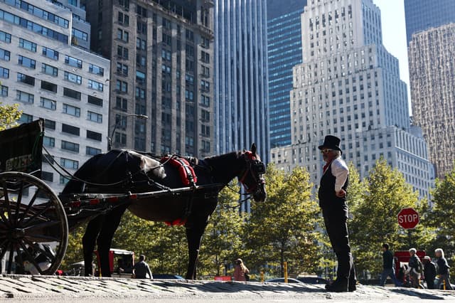 NYC moves to ban Central Park horse carriages after 150 years