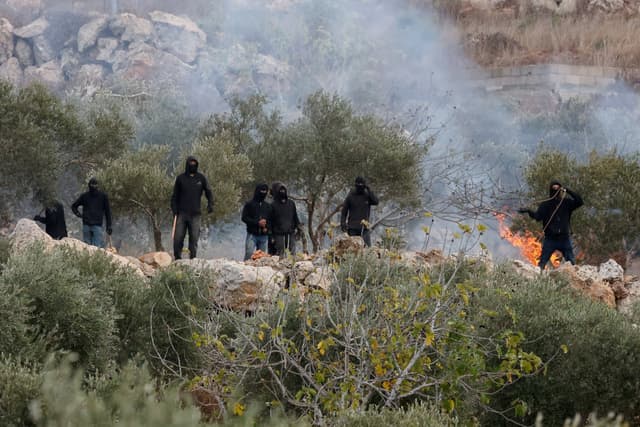 Israeli settlers burn olive trees, attack 8 farmers in West Bank