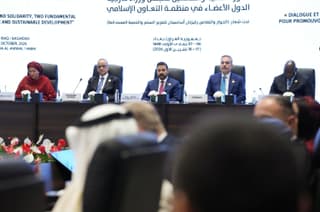 Türkiye calls on Islamic world to unite against regional challenges