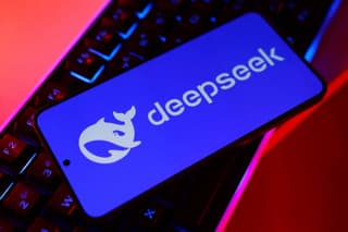 US bans govt agencies from using DeepSeek, China vows to protect firms