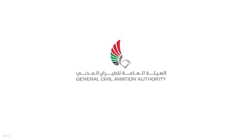 الإمارات تعلن اكتمال نقل 7479 مسافرا إلى تل أبيب