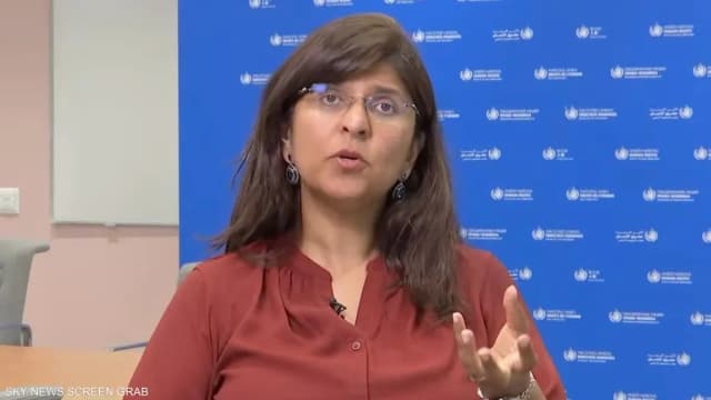 مسؤولة أممية تحذر من تدفق السلاح إلى السودان