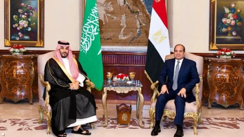 رسالة مصرية سعودية بشأن هرمز وباب المندب