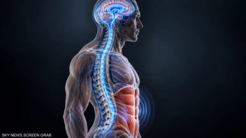 ماذا يحدث للدماغ عندما تشد عضلات بطنك؟