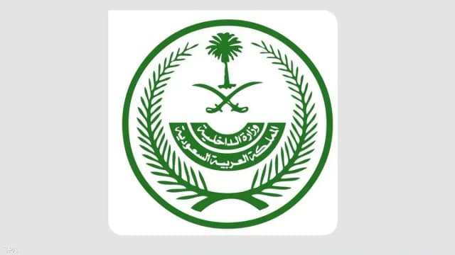 السعودية تعلن نتائج أولية لتحقيقات حادثة "فلاي دبي"