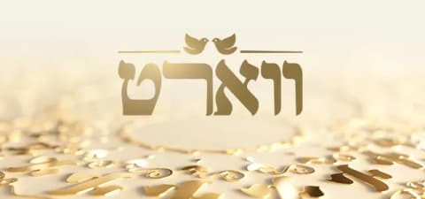 אחרי שנפרדו בתכנית: כוכבי "ווארט" ישודכו שוב בעונה החדשה?