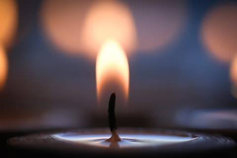 טרגדיה בארה"ב: השחקן הישראלי גיא קפולניק נהרג בהתרסקות מטוס