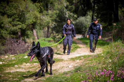 תעלומה בירושלים: החיפושים אחר בת ה-61 נמשכים