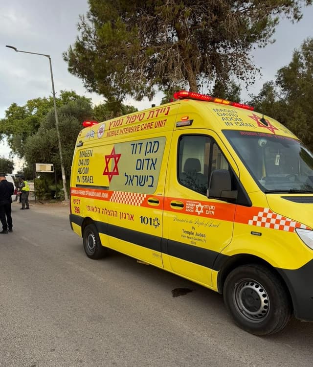 הקטל בדרכים: אישה בת 90 נהרגה מפגיעת משאית בדרום