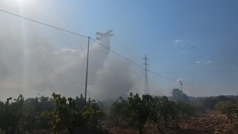 שריפה בצומת הגוש: האש מתפשטת בחסות הרוחות