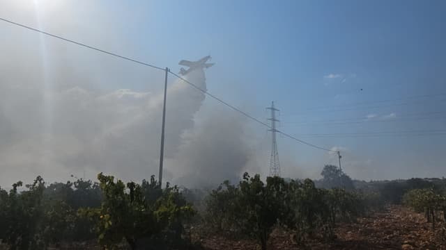 שריפה בצומת הגוש: האש מתפשטת בחסות הרוחות