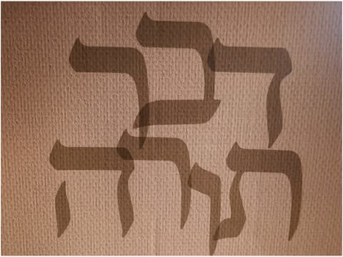 מאמר הדור: סדרת ספרי "דבר תורה" מחברת עבר להווה באהבה