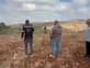 עימותים בין פלסטינים לחיילים באיו"ש, צה"ל יבדוק טענות על ירי פסול שבוצע בידי הכוח