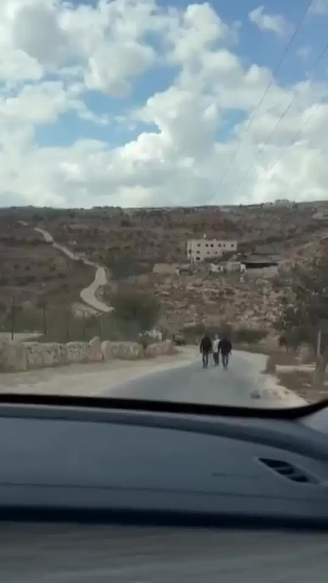 דיווחים פלסטיניים: מתנחלים תקפו דיפלומטים אירופים שהשתתפו במסיק זיתים מקומי בבנימין