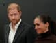 הנסיך הארי: "תורידו את התואר - ותראו מישהו שבא מבית הרוס"
