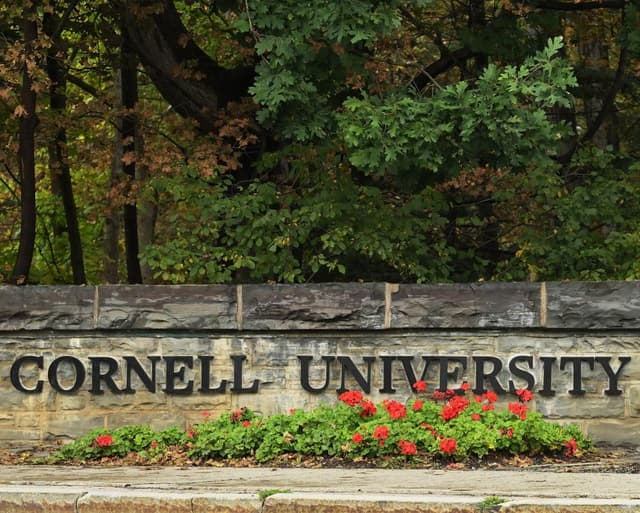 Texts about alleged Cornell gang-rape released after investigation reopened