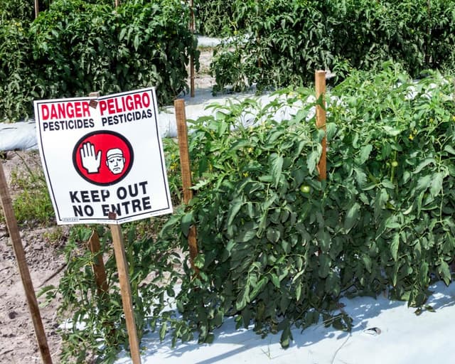 New research finds 485 chemicals in US pesticide products linked to breast cancer