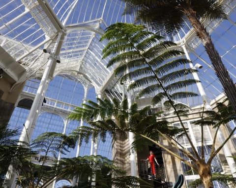 Falling glass and ‘decapitated’ plants: the race to protect Edinburgh botanic garden’s plants