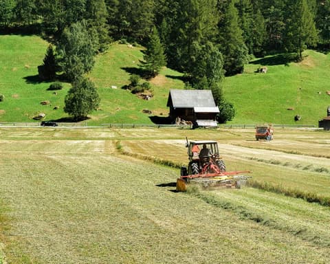 Microplastics in soil pose global threat by acting like ‘Trojan horse’ to deliver toxins