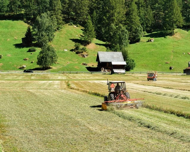 Microplastics in soil pose global threat by acting like ‘Trojan horse’ to deliver toxins