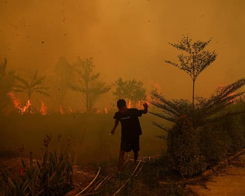 Indonesia wildfire fuelled by El Niño razes almost 300 homes