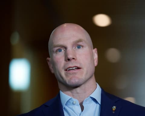 Pocock says Labor easing copyright protections for AI datacentre investment would throw creatives ‘under the bus’
