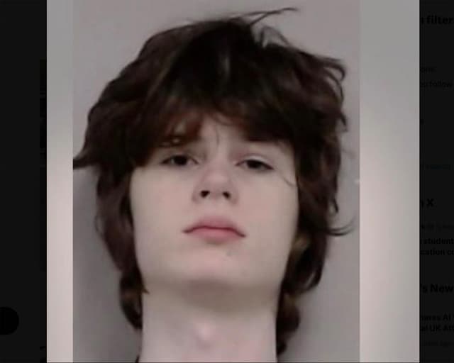 Illinois man arrested over alleged plot to attack Hindu place of worship, police say