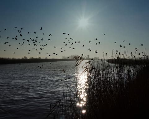 ‘Cash to trash’ levy on house developers too low to offset damage to Norfolk Broads, say critics