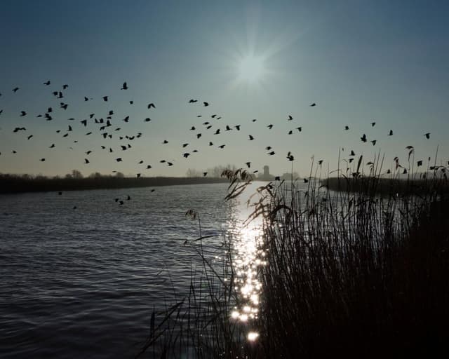 ‘Cash to trash’ levy on house developers too low to offset damage to Norfolk Broads, say critics