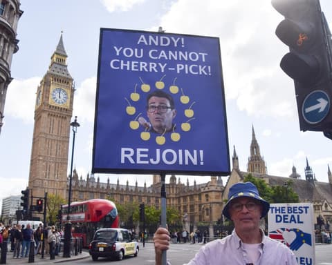 Half of UK wants to rejoin EU and backing it could drive up Labour vote, megapoll finds