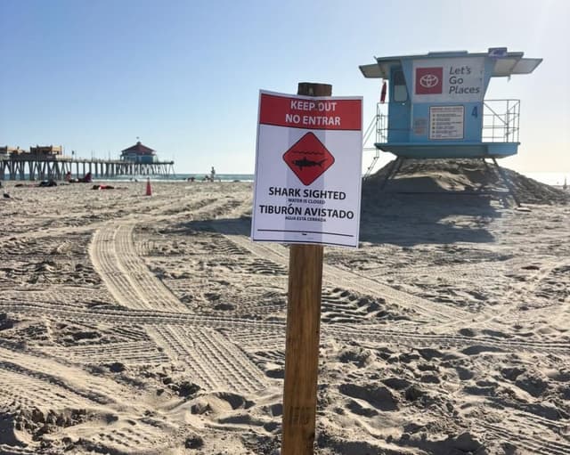 Southern California beach closes after sighting of great white shark ‘exhibiting aggressive behavior’