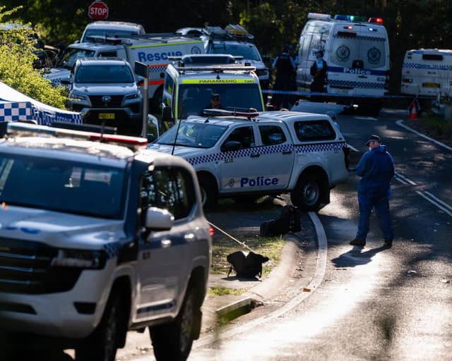 Second child dies after alleged Blue Mountain stabbing as mother faces additional murder charge