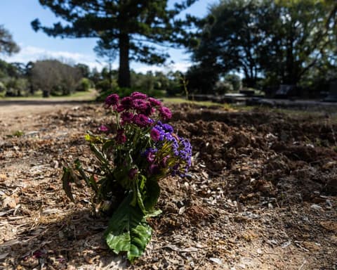 PM called on to act on communal grave revelations as NSW commits to urgent review