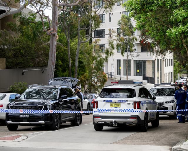 Sydney suburb in lockdown as police search for man seen with shotgun
