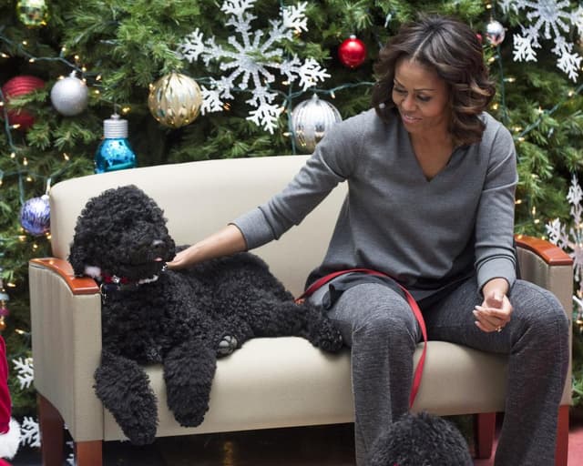 Obama family dog Sunny dies: ‘a force of nature’