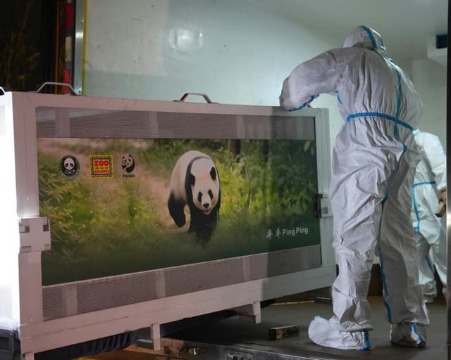 Two giant pandas set off to Atlanta zoo from China after Xi-Trump summit