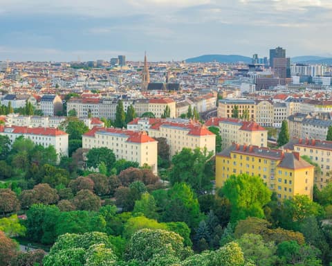 Bring a bottle: Viennese dog owners told to dilute their pets’ urine to protect trees
