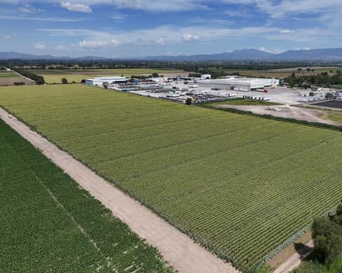Cyclospora found at Mexican farm linked to lettuce outbreak, FDA says