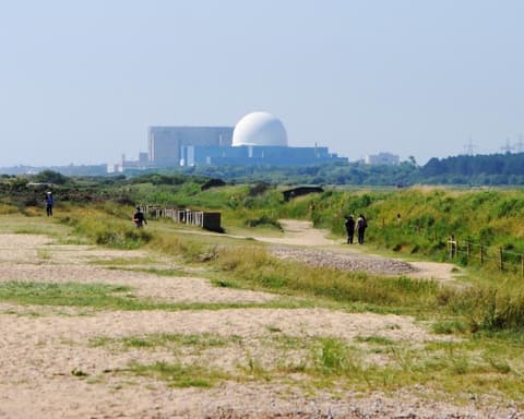 Green party drops longstanding opposition to nuclear power