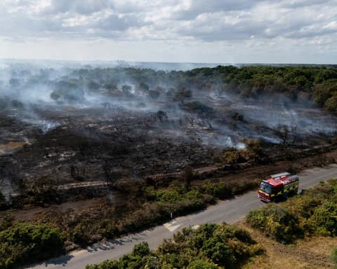Revealed: Government quietly dropped plan to prepare England for wildfires